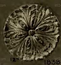 ROSETTE_1800